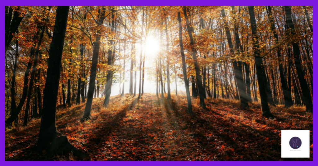 Change of season - autumn leaves blog header