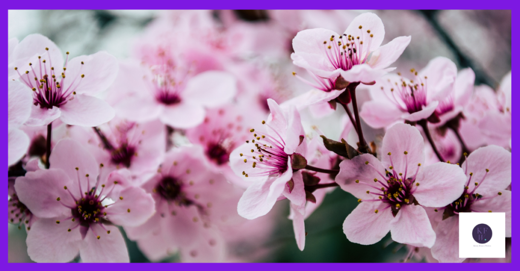 Spring blossom - how to create seasonal marketing.